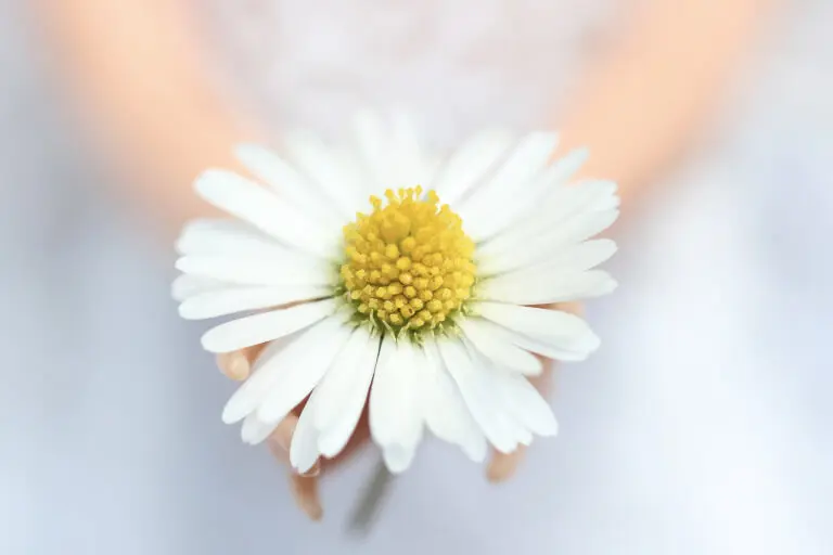 fs_blog_image_1