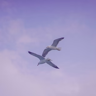 travel-11