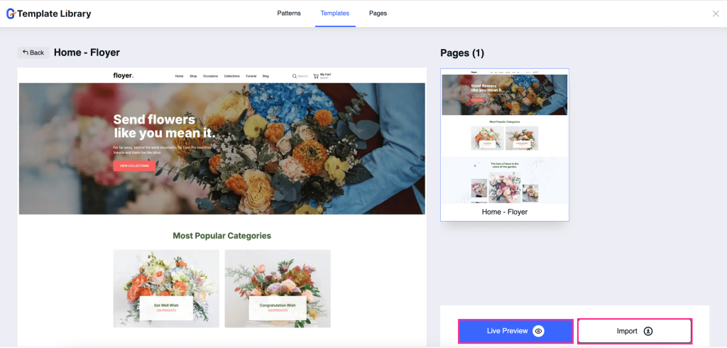 Create eCommerce website with WordPress using template