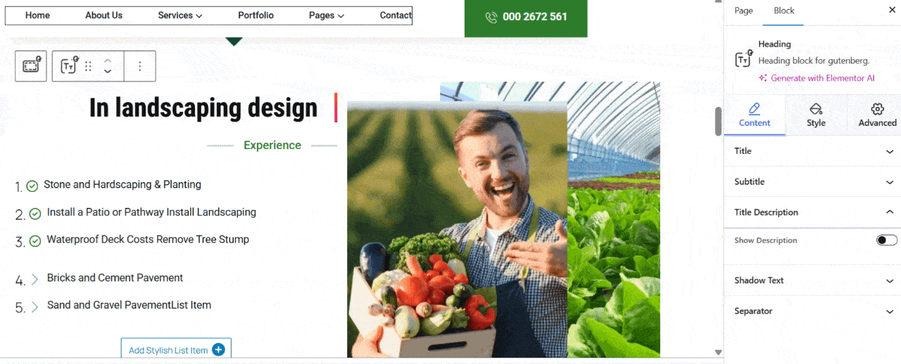 Hide the title description, add shadow text, and show the separator